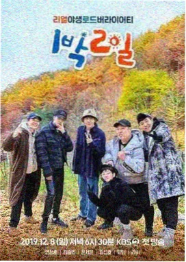 月光影视音乐竞演综艺声音合伙人剧照